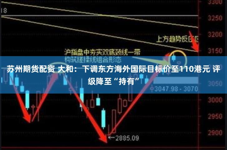 苏州期货配资 大和：下调东方海外国际目标价至110港元 评级降至“持有”