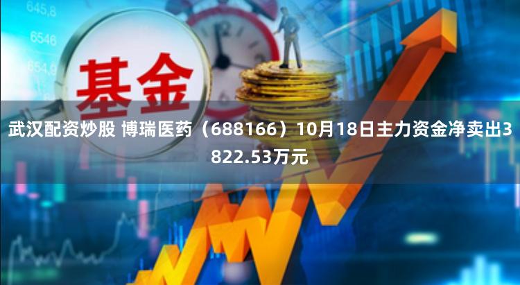 武汉配资炒股 博瑞医药（688166）10月18日主力资金净卖出3822.53万元