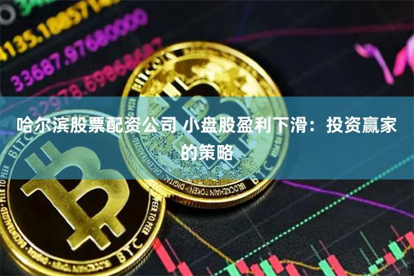 哈尔滨股票配资公司 小盘股盈利下滑：投资赢家的策略